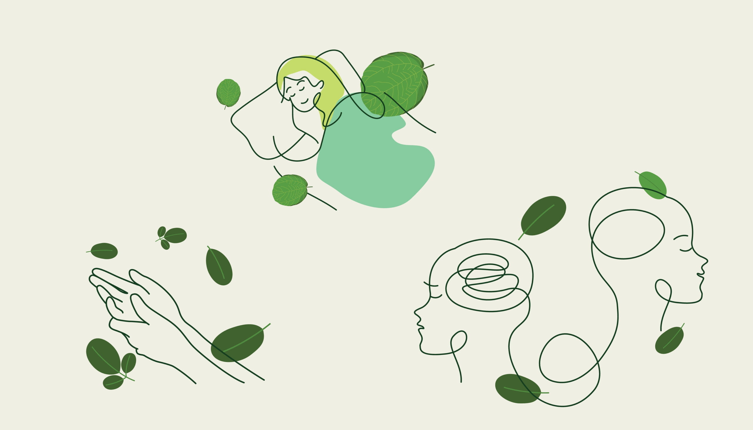 A serene bedroom with calming decor and soft lighting.